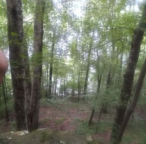 Meet your Posher, Jodi